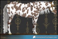 Horse Color:Liver Red Dun Mushroom Near Leopard 