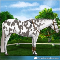 Horse Color:Grullo Mushroom Near Leopard 