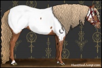 Horse Color:Chestnut Sabino Near Fewspot 