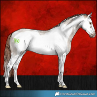 Horse Color:Liver Red Dun Roan Sabino Splash Frame