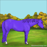 Horse Color:Watercolor Smoky Black 