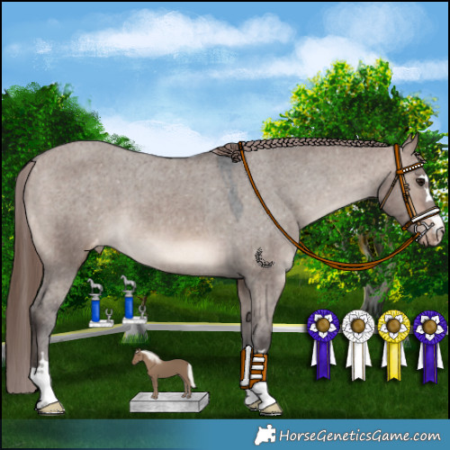 Horse Color:Brown Dun Mushroom Appaloosa