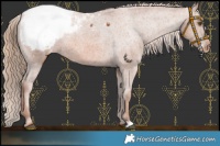 Horse Color:Chestnut Snowcap 