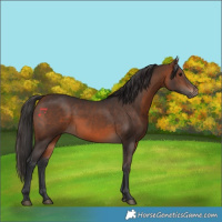 Horse Color:Brown 