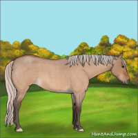 Horse Color:Silver Brown Roan Dun 