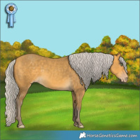 Horse Color:Silver Sable Cream Champagne Rabicano 