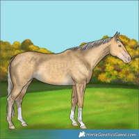 Horse Color:Silver Classic Cream Champagne Dun