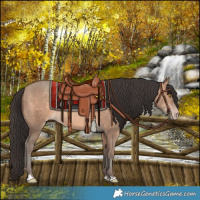 Horse Color:Sable Champagne 