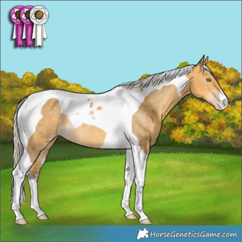 Horse Color:Silver Amber Cream Champagne Tobiano Rabicano 