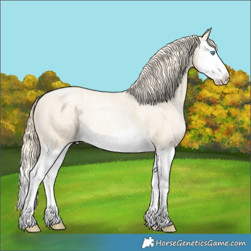 Horse Color:Palomino Ice Roan Pearl Splash 