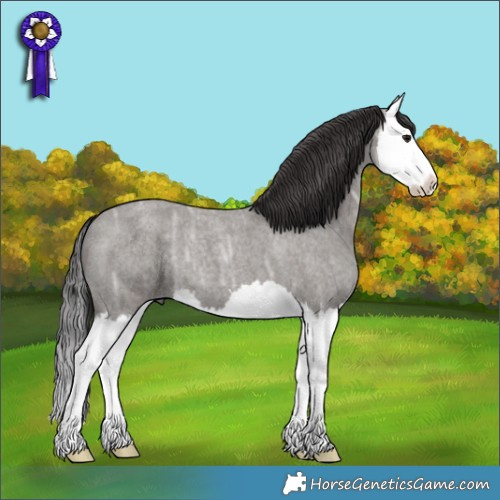 Horse Color:Smoky Grullo Ice Roan Splash 