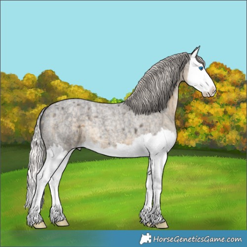 Horse Color:Silver Smoky Blue Ice Roan Splash 