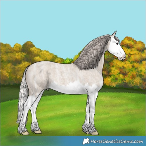 Horse Color:Silver Grullo Ice Roan Splash 