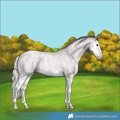Horse Color:Silver Smoky Blue Ice Roan Splash 