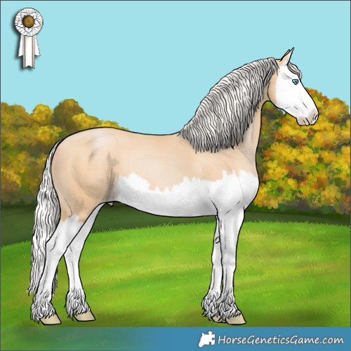 Horse Color:Silver Buckskin Pearl Splash 