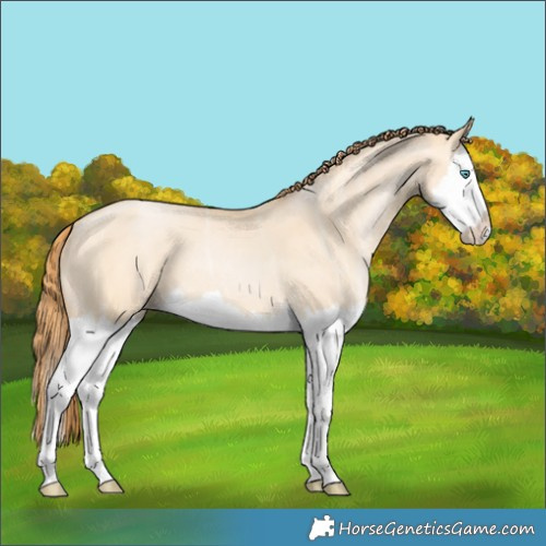 Horse Color:Buckskin Ice Pearl Dun Splash 