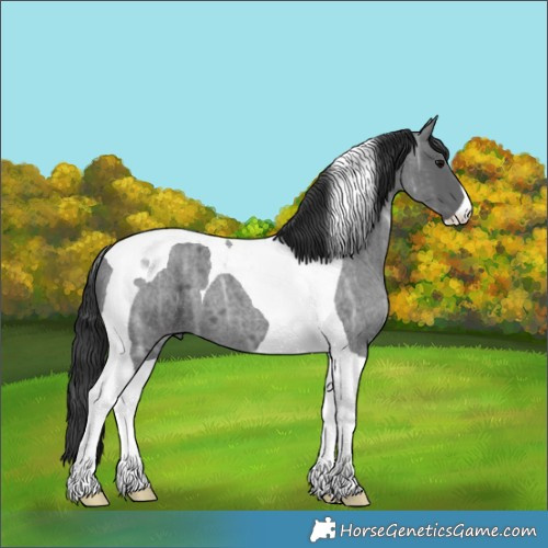 Horse Color:Blue Ice Roan Tobiano 