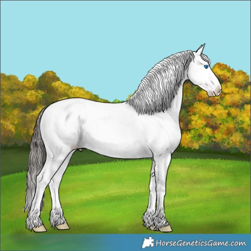 Horse Color:Bay Splash 