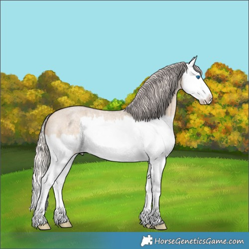 Horse Color:Silver Brown Roan Dun Splash 