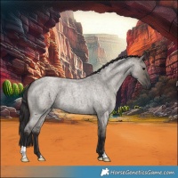 Horse Color:Smoky Grullo Roan 