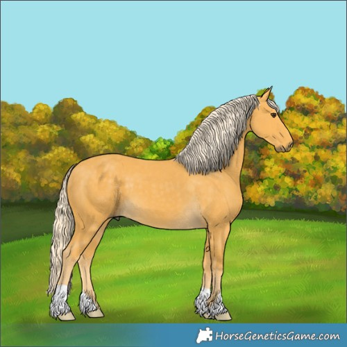 Horse Color:Palomino 