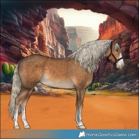 Horse Color:Chocolate Palomino 