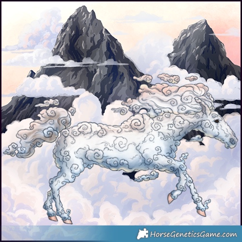 Horse Color:Bay Dun Sabino Appaloosa 