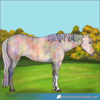 Horse Color:Nacre Silver Buckskin Ice Dun Tobiano 