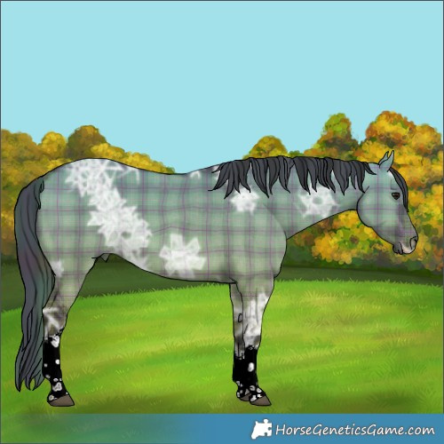 Horse Color:Plaid  Brown Ice Dun Tobiano 