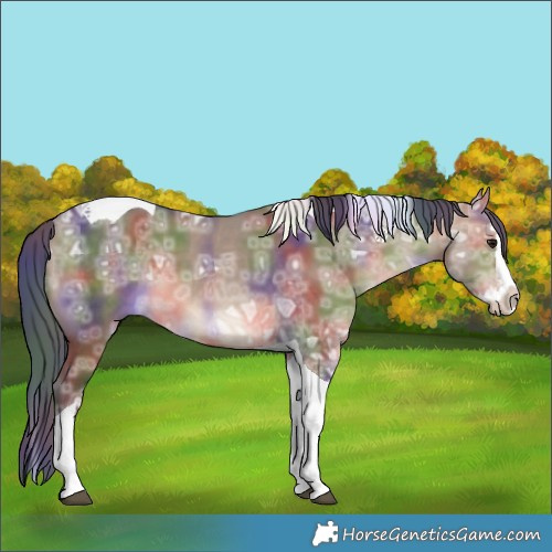 Horse Color:Nacre Bay Ice Dun Splash Tobiano 