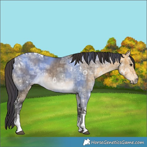 Horse Color:Buckskin Ice Dun Tobiano 