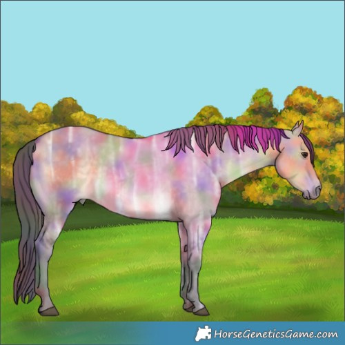 Horse Color:Nacre Buckskin Ice Dun 