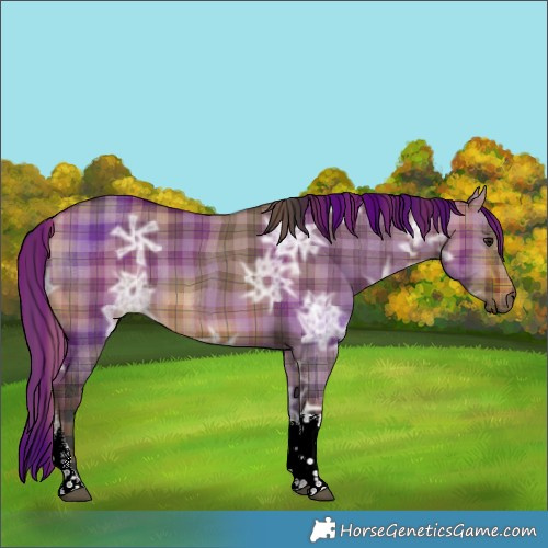 Horse Color:Plaid  Bay Ice Dun Tobiano 