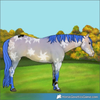 Horse Color:Watercolor Bay Ice Dun Splash Tobiano