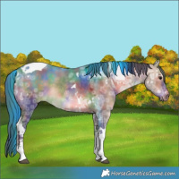 Horse Color:Nacre Bay Ice Dun Tobiano 