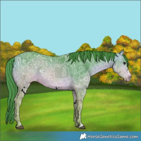 Horse Color:Watercolor White Spotted Bay Ice 