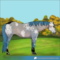 Horse Color:Watercolor Bay Ice Dun Tobiano Rabicano 