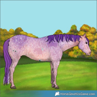 Horse Color:Watercolor White Spotted Bay Ice Rabicano 