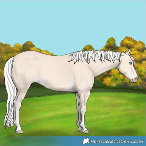 Horse Color:Silver Perlino