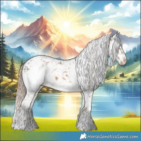 Horse Color:White Spotted Chocolate Palomino Appaloosa 