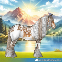 Horse Color:White Spotted Chocolate Palomino Appaloosa 