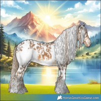Horse Color:White Spotted Chocolate Palomino Appaloosa