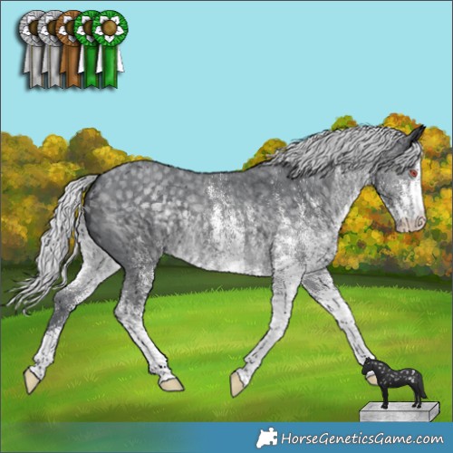 Horse Color:White Spotted Silver Black Chinchilla 