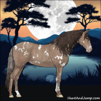 Horse Color:White Spotted Classic Champagne 