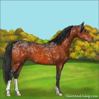 Horse Color:Brown Ice 