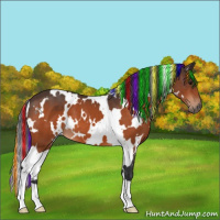 Horse Color:Painted White Spotted Bay 