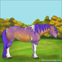 Horse Color:Watercolor Bay Sabino Tobiano 