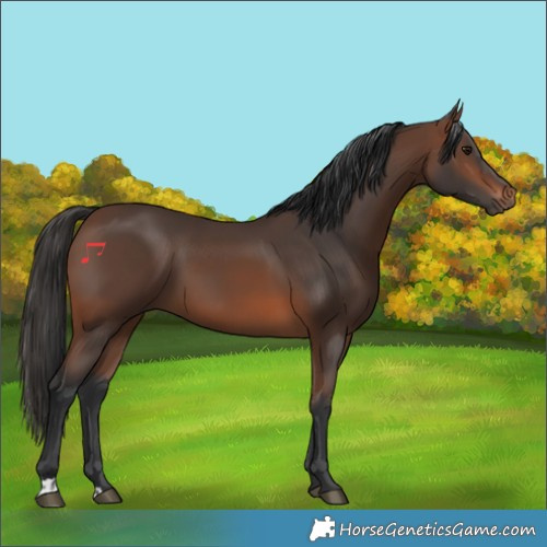 Horse Color:Brown 
