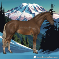 Horse Color:Chocolate Palomino Rabicano 