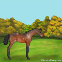 Horse Color:Brown 